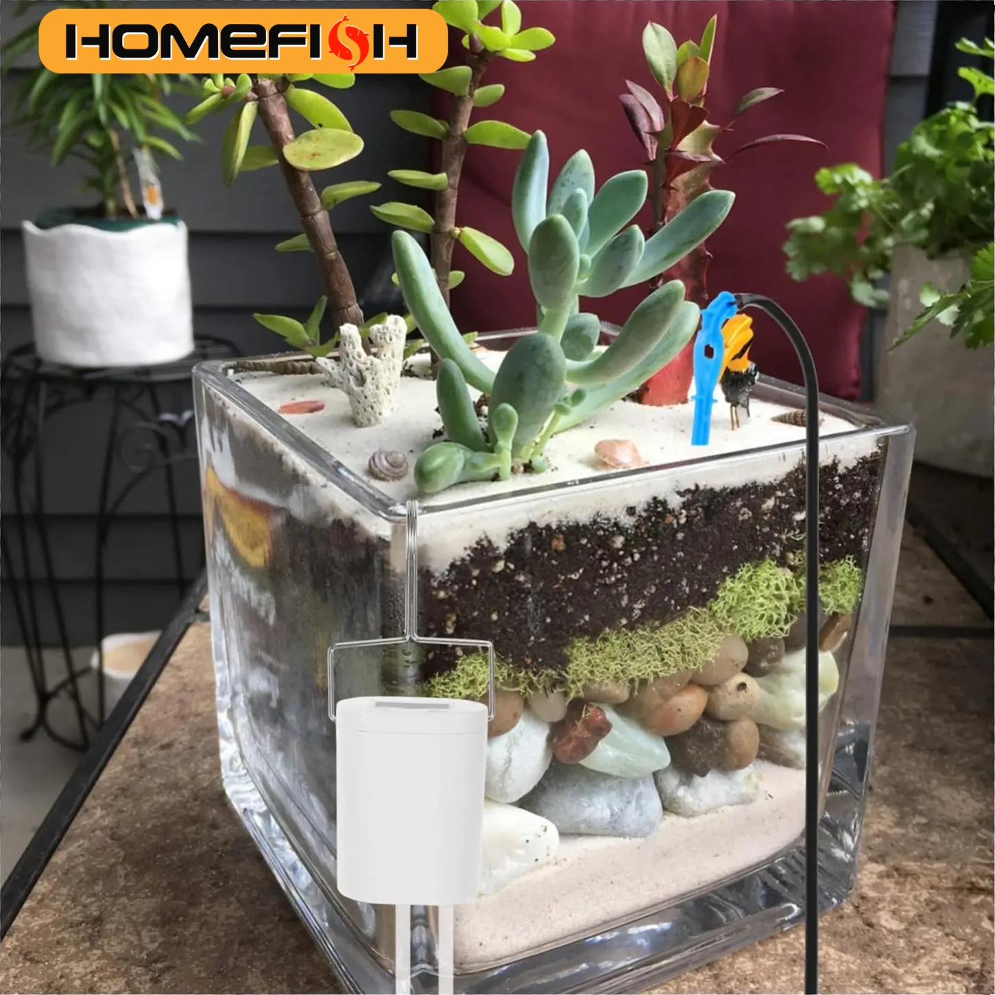 HOMEFISH Automatic Plant Flowe - Home Improvement Tool Time avis et prix