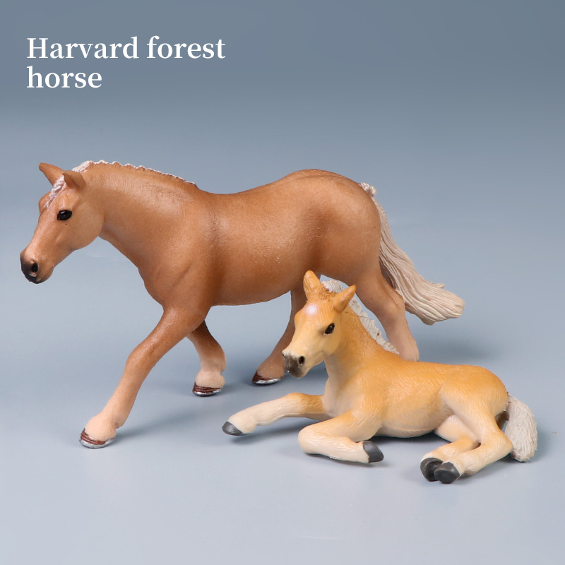 Winged Steed Model Action Figu - Home Improvement Kids avis et prix