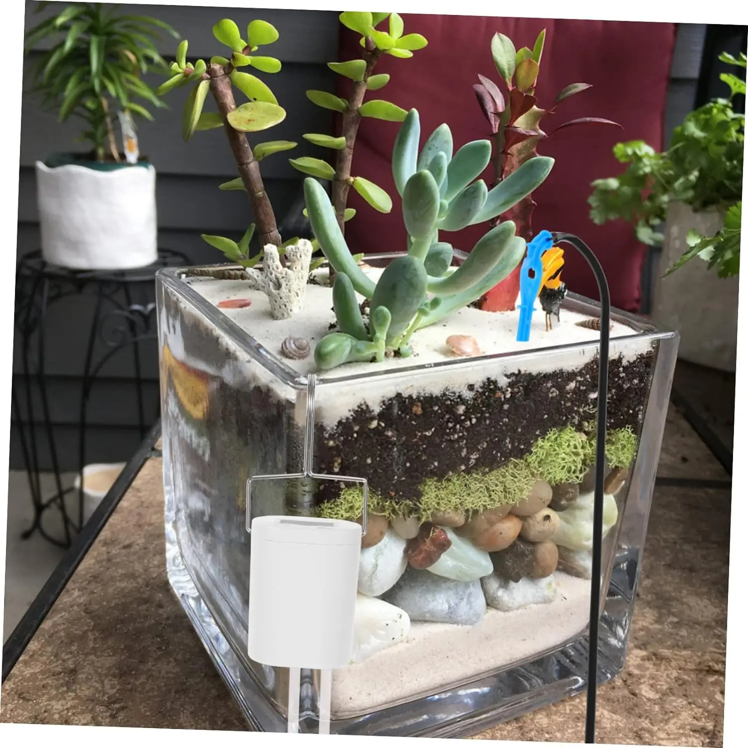 Automatic Plant Flower Waterin - Home Improvement Tool Time avis et prix