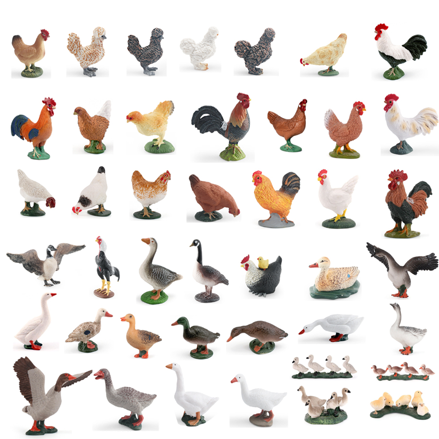 Simulation Farm Poultry Animal - Home Improvement Kids avis et prix
