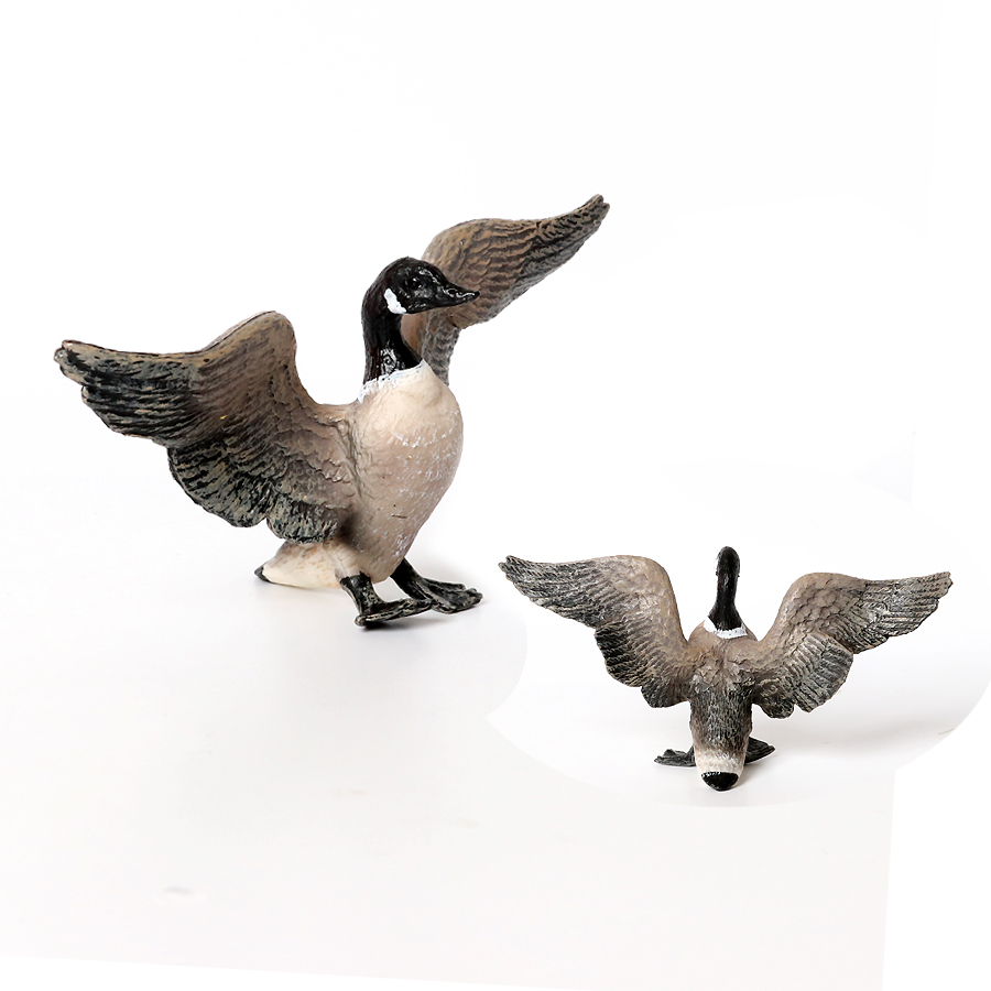 Simulation Farm Poultry Animal - Home Improvement Kids avis et prix